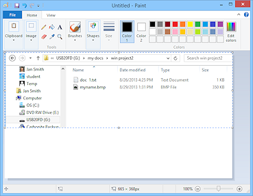 paste screenshot into paint