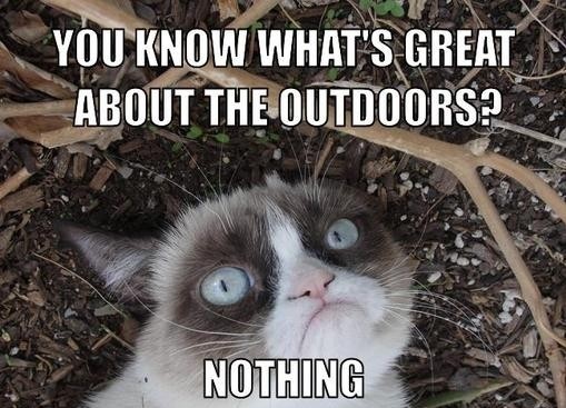 Grumpy Cat Meme Outdoors