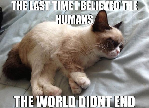 funny grumpy cat pics with captions