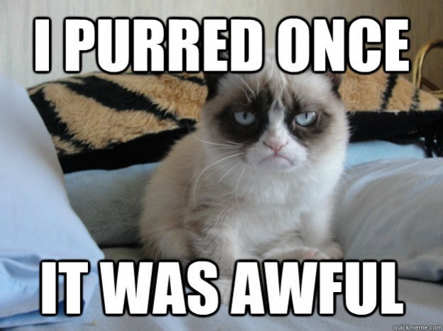 holiday grumpy cat meme