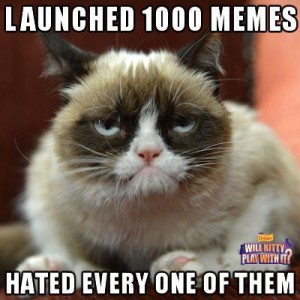 32 Funny Angry Cat Memes for Any Occasion - Freemake