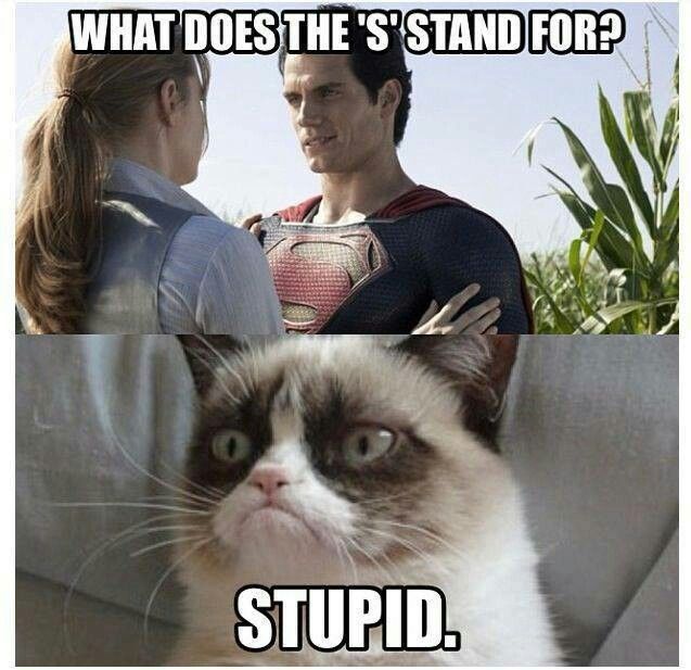 love grumpy cat