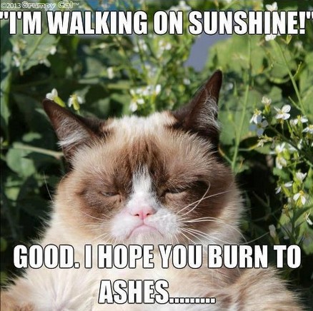 21 Best Grumpy Cat Memes And Funny Quotes About Love & Life