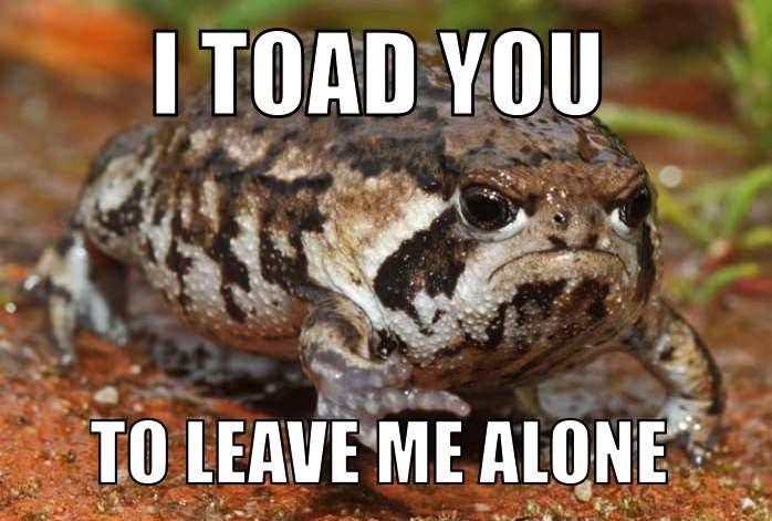 grumpy toad