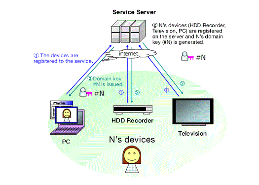 drm-scheme