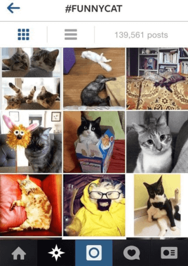 List of Funny Instagram Hashtags to Boost Likes and Find Curious Posts