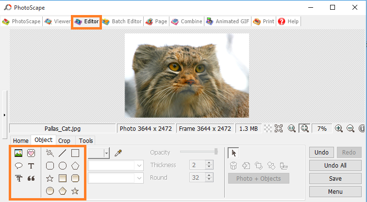 Photo effects tab in PhotoScape