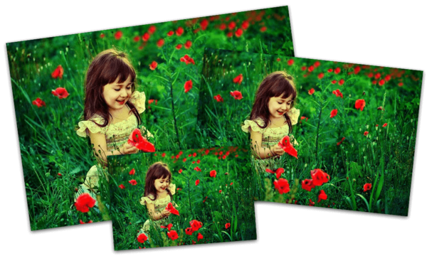 girl in the flowers