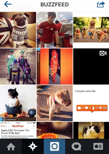 17 Best Funny Instagram Accounts to Follow - Freemake