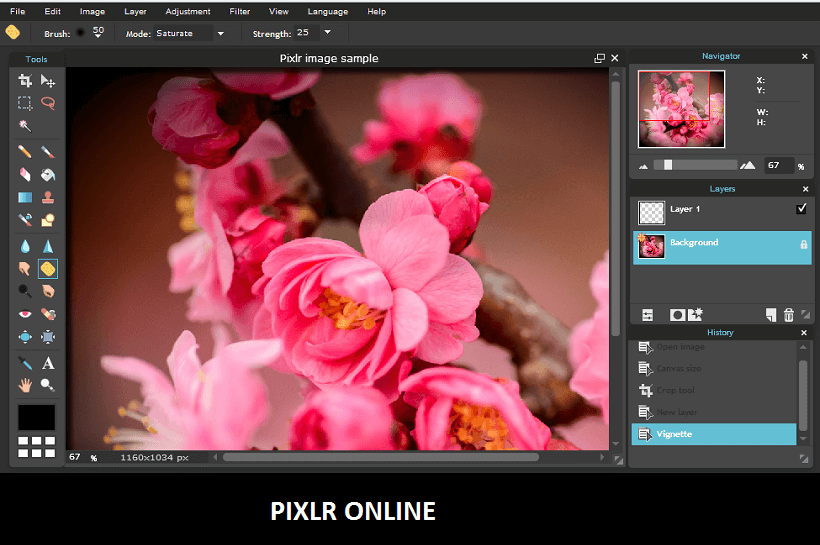 pixlr editor online lag too much