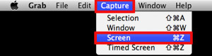 How to Take a Screenshot on a Mac, PC, iPhone - Freemake