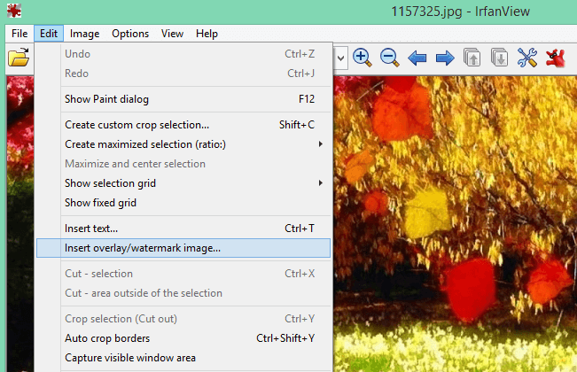 irfanview add watermark