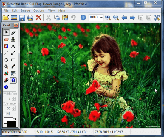 irfanview paint tool