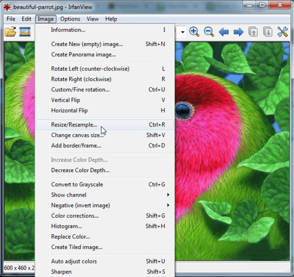 resize with irfanview