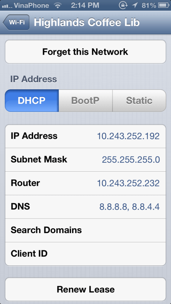 update DNS settings iphone