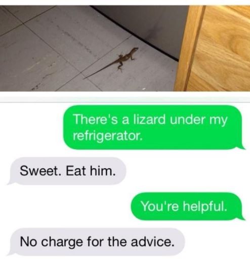 Dump A Day Funny Texts From Parents - 55 Pics  Funny texts from parents,  Funny text fails, Funny pictures fails