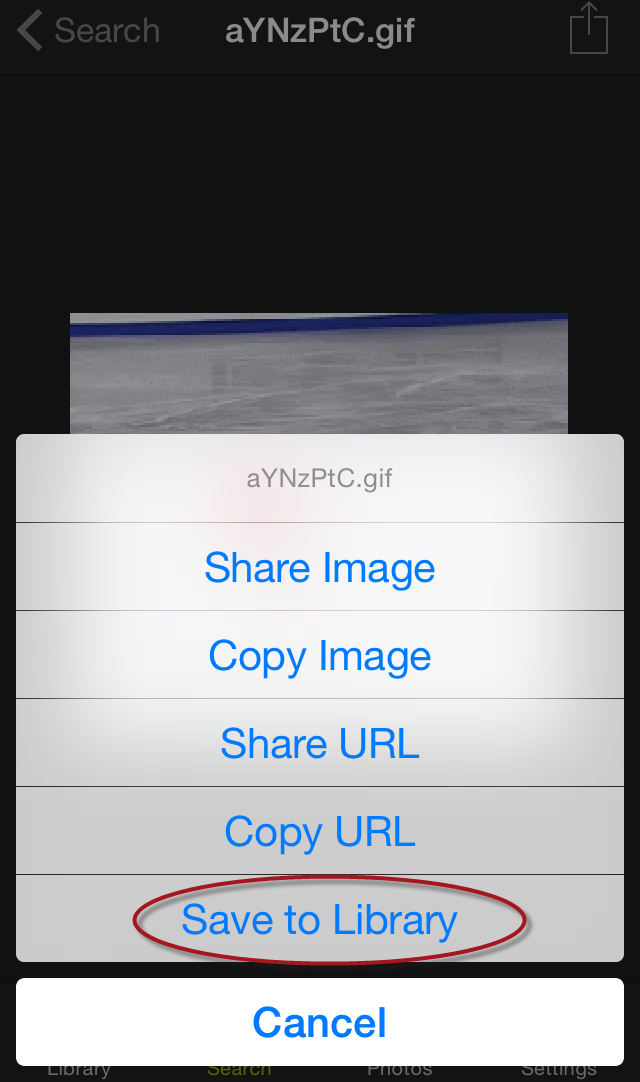 How to download gifs from Twitter — Save GIFs on your device for