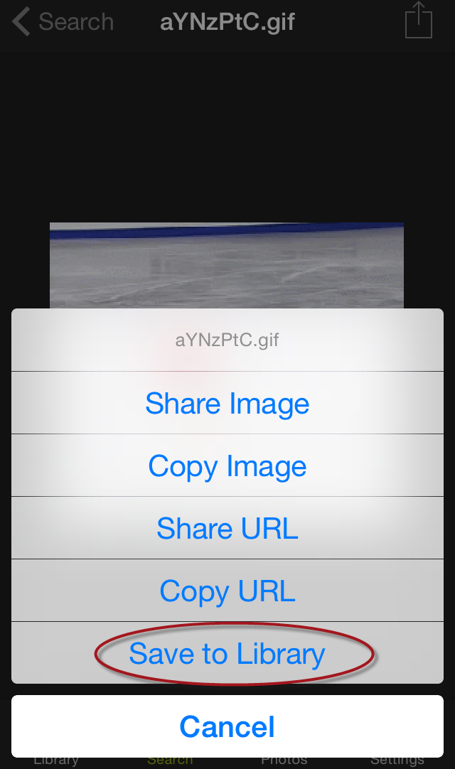 How to save GIFs on your iPhone