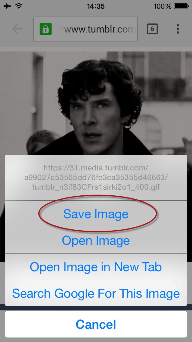How to save GIFs on your iPhone