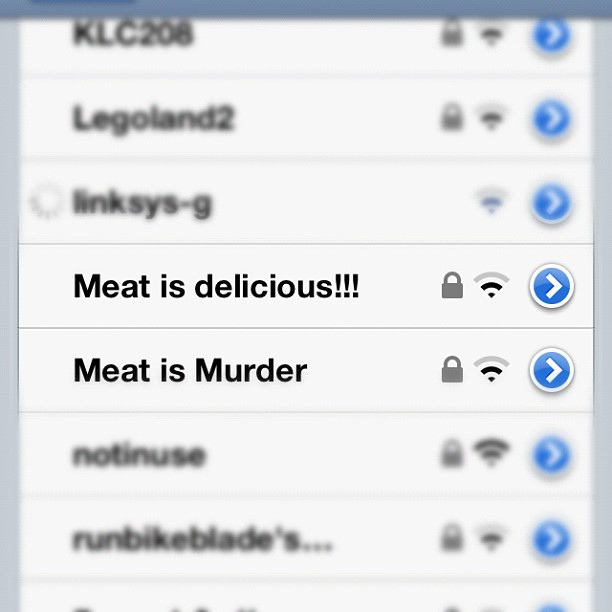 funny wifi name meat