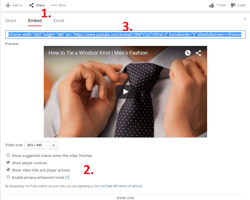 How To Convert Embedded Video To Mp4 Lalafsexy