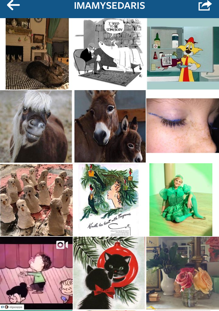 17 Best Funny Instagram Accounts to Follow Freemake