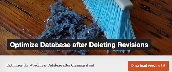 optimize-database-afer-deleting-revision
