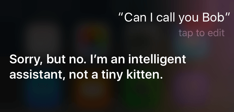 siri call bob