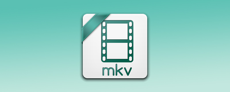 mkv video codec