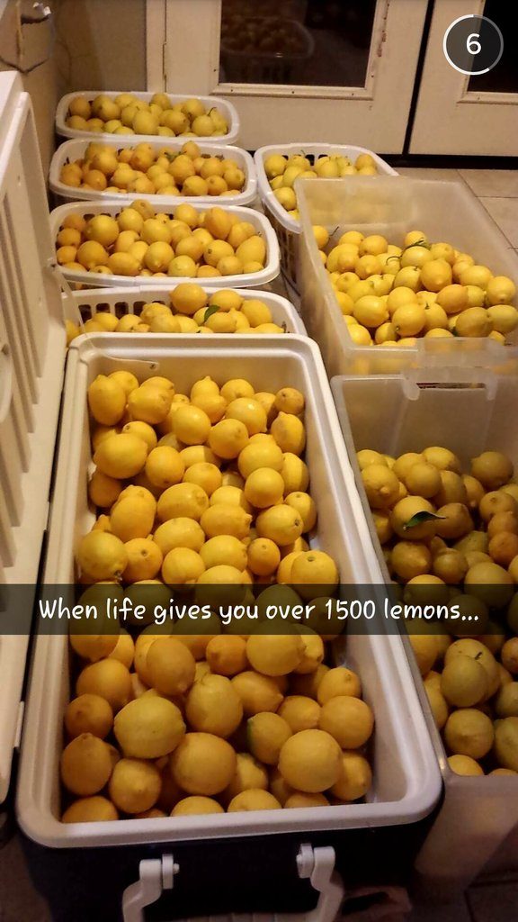 1500 lemons