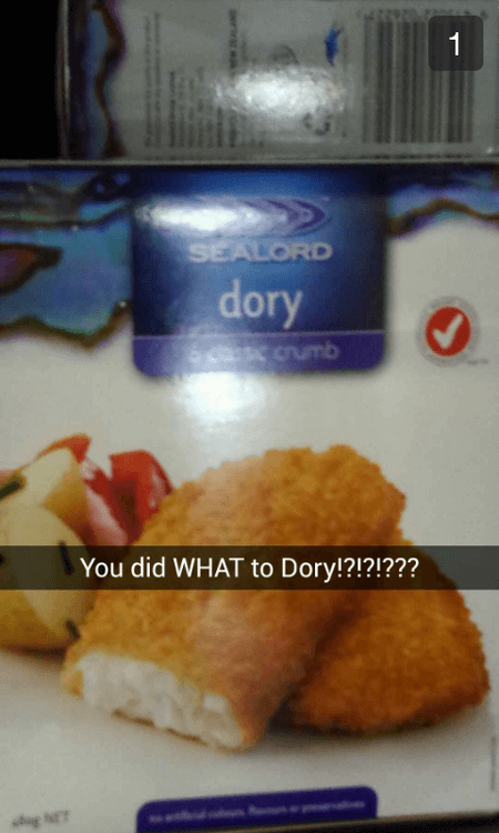 you did what to dory