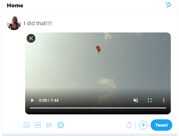 twitter video download for pc