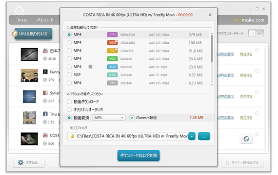 Freemake Video Downloader - ビデオ画質を選択